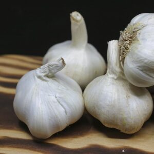 Garlic