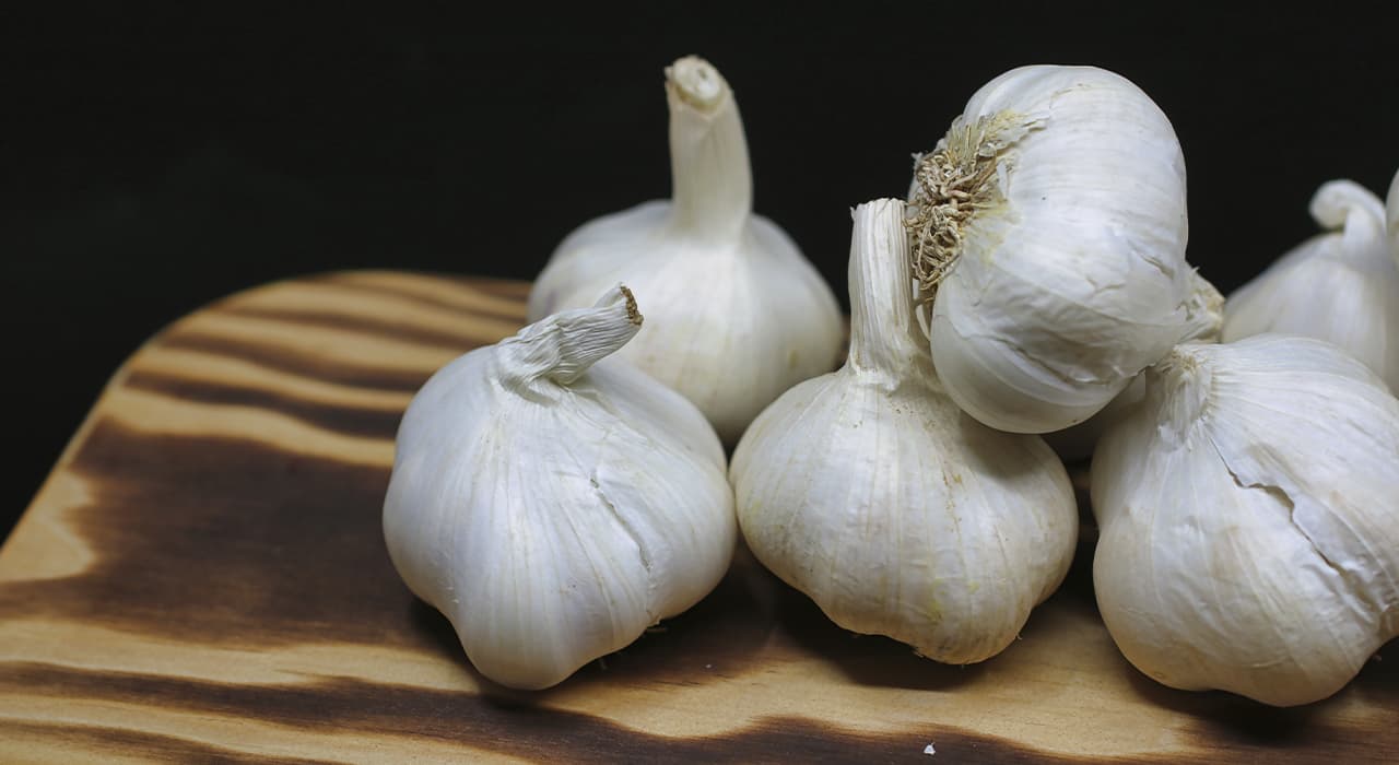 Garlic